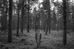 Forrest_000016_163043_781406_8242
