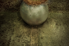 Yard Art - pchiarelli ,Yard Art - pchiarelli