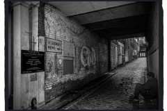 IMG-3