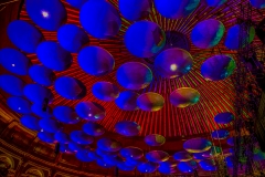 IMG_2611