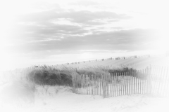Saulmon Addison "A Walk on the Beach" 