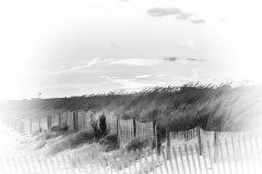 DuneS1