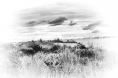 DuneS4