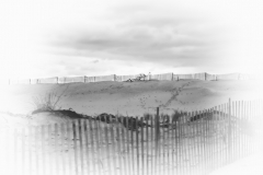 DunesS6
