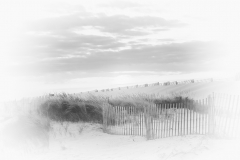 DunesS7