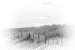 DunesS8